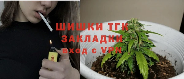 СК Белокуриха