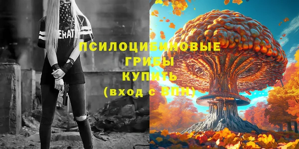 МДПВ Беломорск