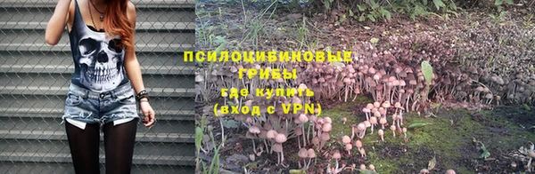 МДПВ Беломорск