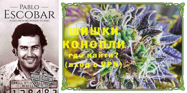 СК Белокуриха